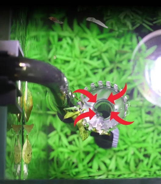 kiotviet_215b2d7ee3e298cf3b4804ef41146fad